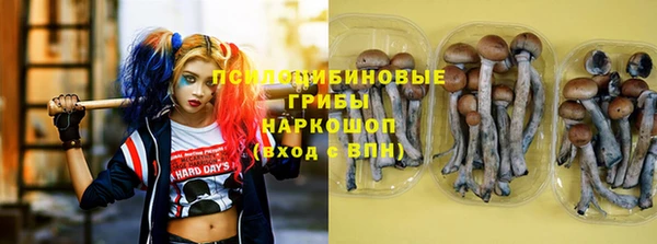 MDMA Premium VHQ Аркадак